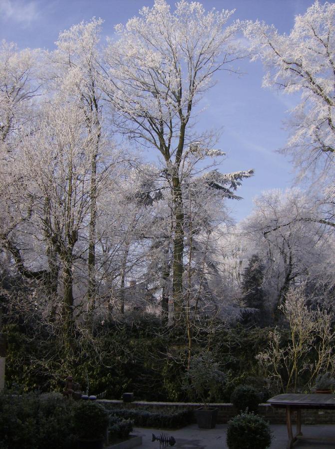 B&B Speelmansrei Brugge Buitenkant foto