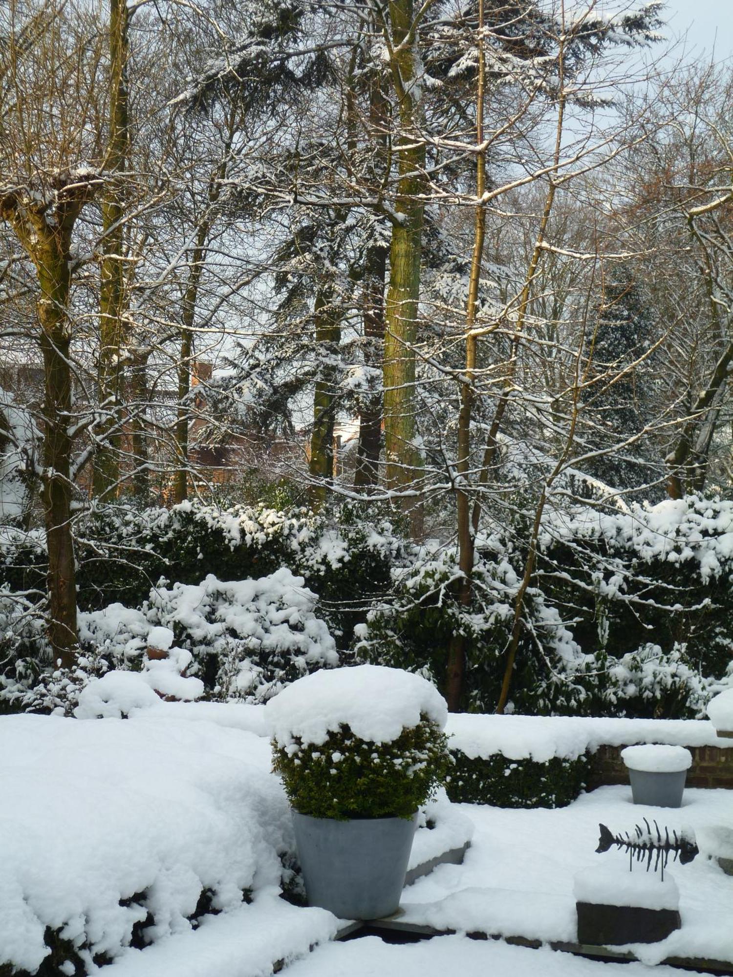 B&B Speelmansrei Brugge Buitenkant foto